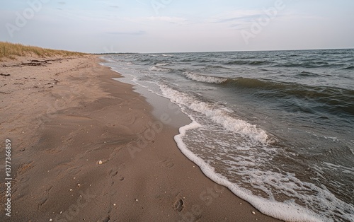 Soft waves lap gently onto a sandy beach under a calm, pale sky. The sand is a mix of light brown and tan, with small pebbles and shells visible near the water's edge.  The water is a muted