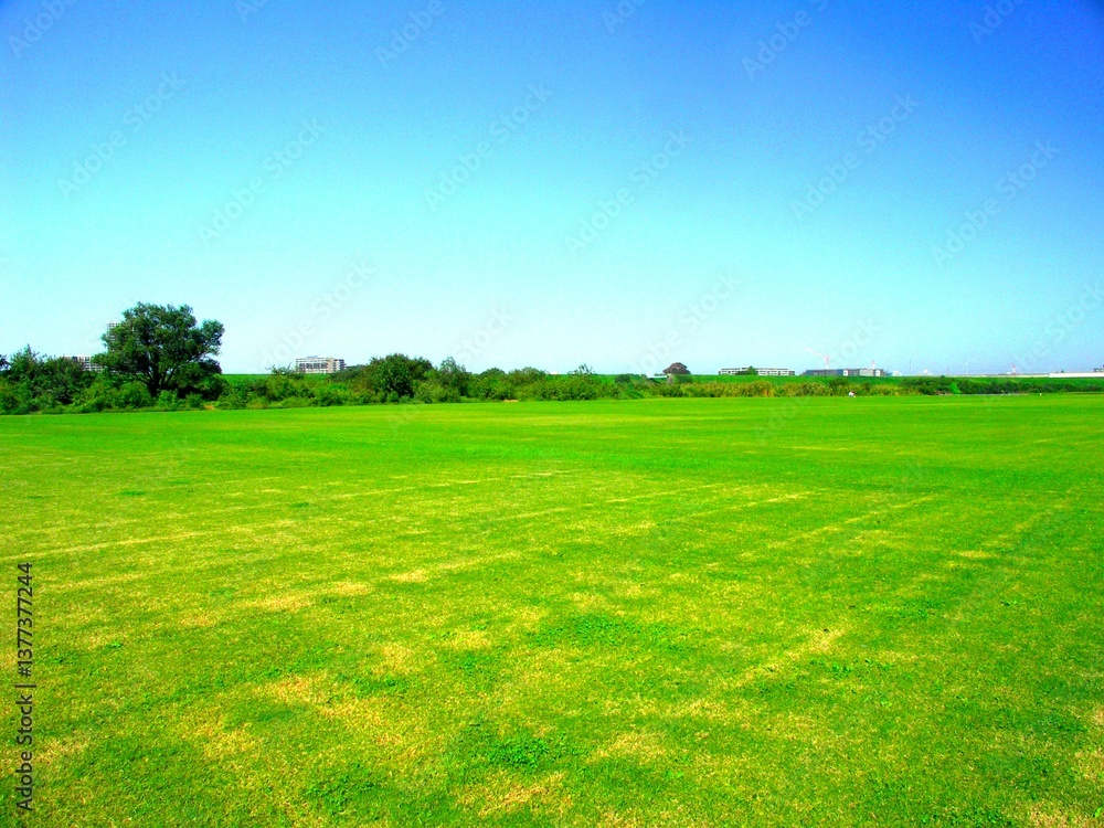 Obraz premium 秋の除草されたサッカー場のある江戸川河川敷風景
