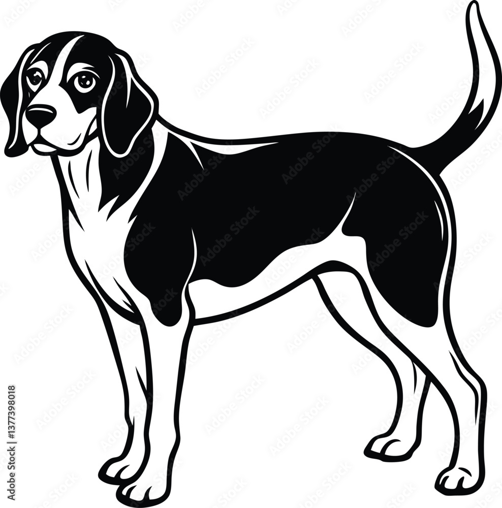 Black and White Illustration of a Standing Beagle Dog, Silhouette Dog , vector . Black and White Illustration of a Standing Beagle Dog, Silhouette Dog , vector .
