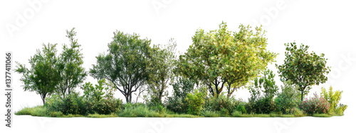 trees and shrubs landscape isolated on a transparent background