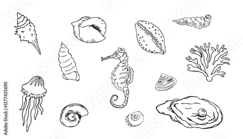 Sea shell sketch ocean life hand drawn illustration. Outline modern style, summer, vacation, beach design elements. Coral and seaweed, starfish line. 