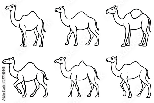 camel collection, set of camel