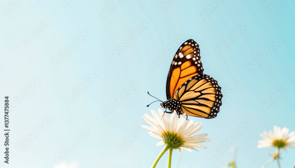 Naklejka premium Butterfly resting on a flower against a clear blue sky 