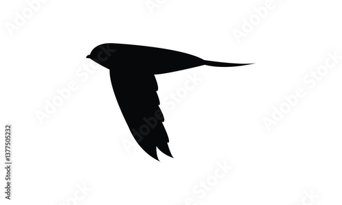 Flying African palm swift bird Silhouette Design  And Vector Illustration. 