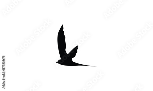 Flying African palm swift bird Silhouette Design  And Vector Illustration. 