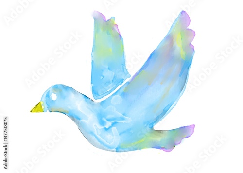 水彩画の鳩