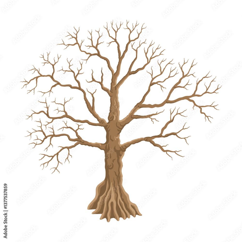 Obraz premium vector drawing ceiba, kapok tree without foliage isolated at white background, hand drawn illustration