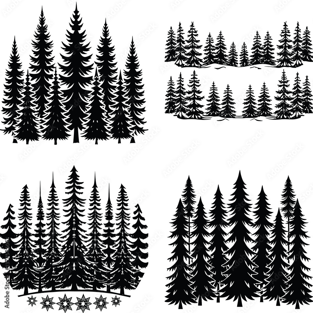 Fototapeta premium Silhouette Forest Collection: A striking collection of silhouette fir trees, capturing the essence of the wilderness and a sense of peace and solitude.
