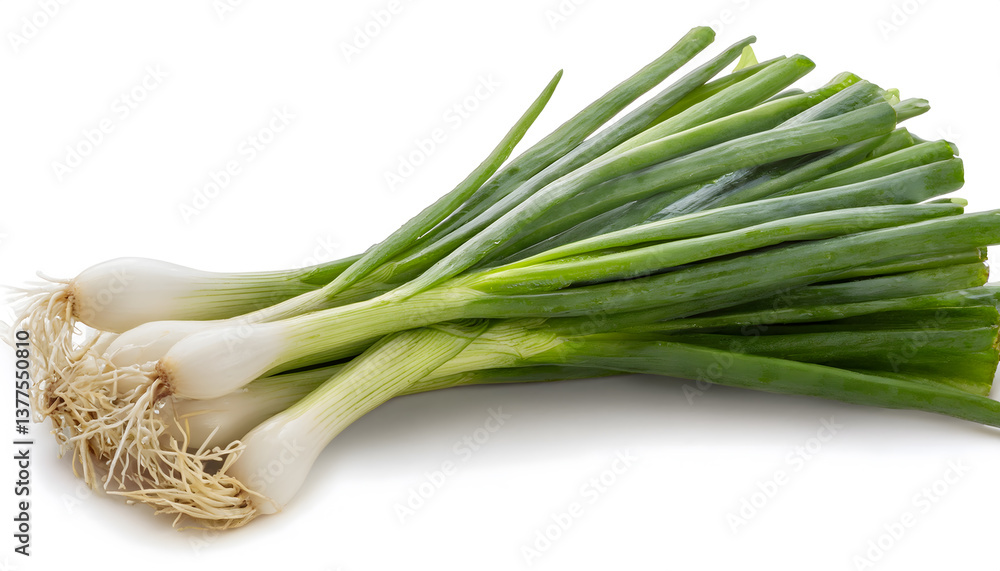 Organic Scallions with Roots
Organic Scallions with Roots