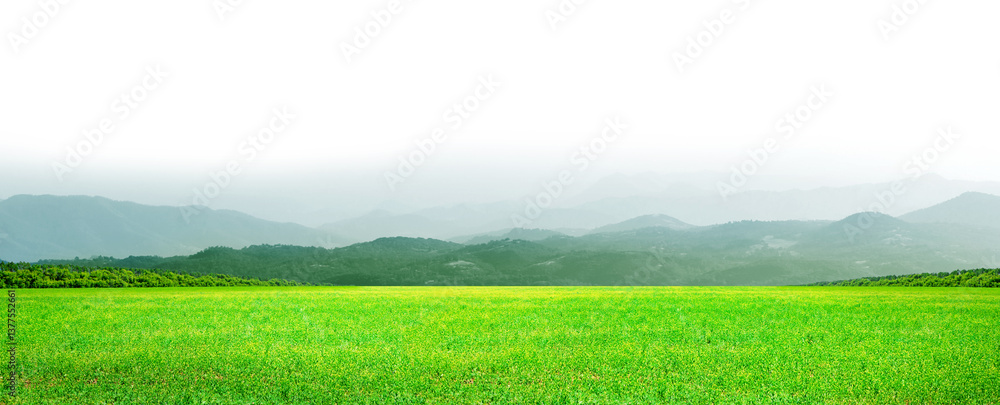 Fototapeta premium Summer landscape with green field, mountains and sky