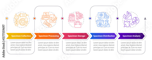 Specimen lifecycle rectangular infographics. Laboratory experiments with bio samples. Visualization template 5 options. Horizontal flowchart with line icons. Myriad Pro-Bold, Regular fonts used