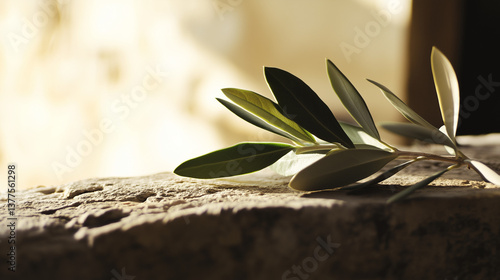 Olive branch resting on stone surface with soft blurred background  