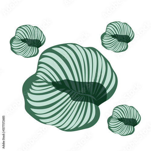 vector illustration of a flower