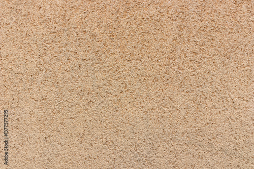 Wallpaper Mural Texture of beige wall covered with limestone plaster, natural sand and stone cover material, background for wallpapers or web-banner design Torontodigital.ca