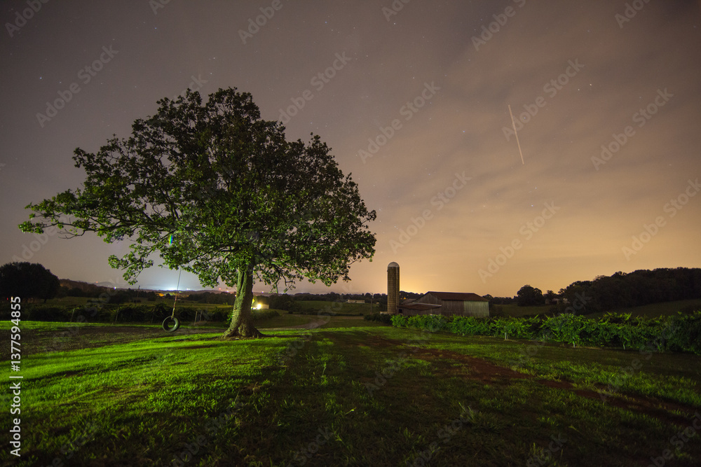 Obraz premium Vineyard Night Scene, Sweetwater TN