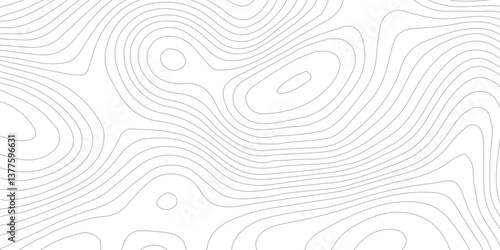 Stylized and Artistic Transparent Contour Map with Flowing Wavy Lines Over a White Background, Designed for Elegant Cartography and Design Projects