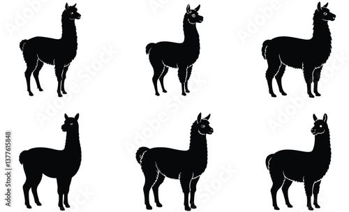Alpaca domestic animal silhouette black vector art design set
