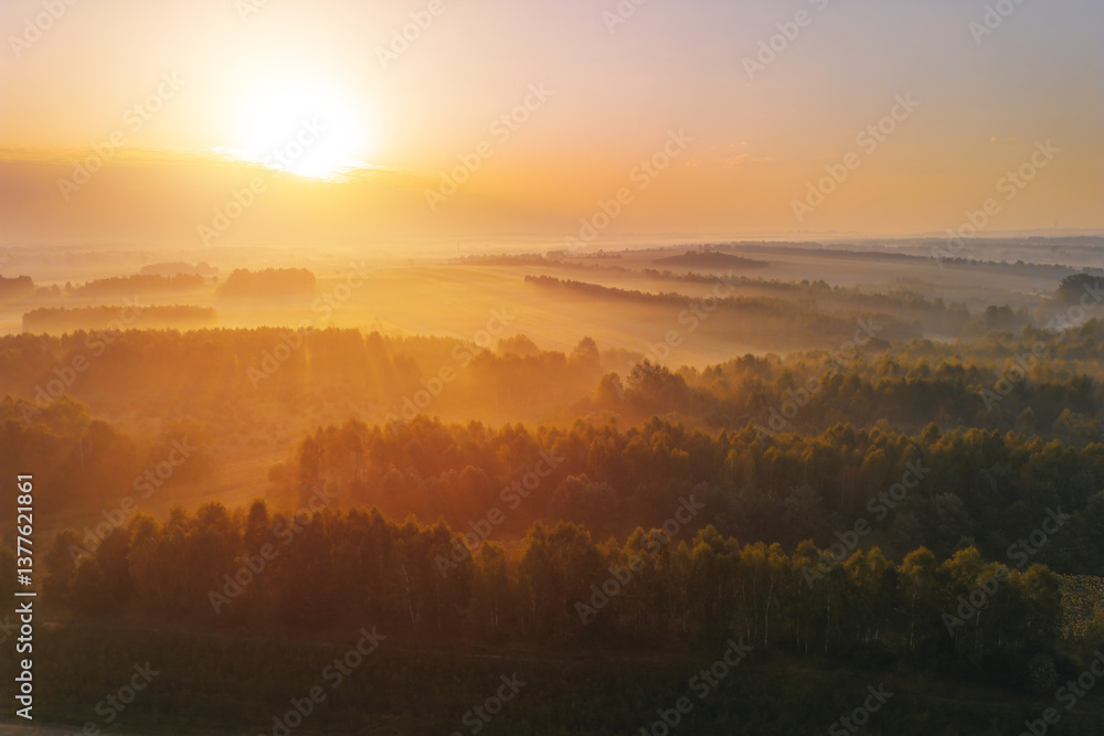 Obraz premium Foggy autumn forest and fields with village in distance
