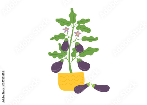 Eggplant bush in the pot isolated on white background.  Gardening and harvest concept. Vector hand drawn clipart. 