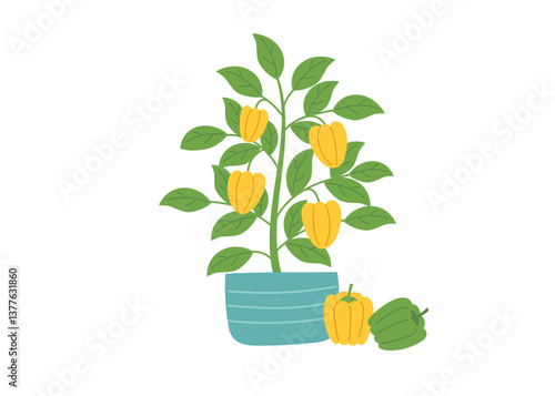 Pepper bush in flower pot isolated on white background.  Gardening and harvest concept. Vector hand drawn clipart. 