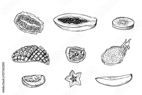 Tropical fruit halves and slices vector isolated illustration painted by black inks. Mango, pitaya or dragon fruit, kiwano or horned melon, carambola or starfruit, guava, kiwi, and passion fruits