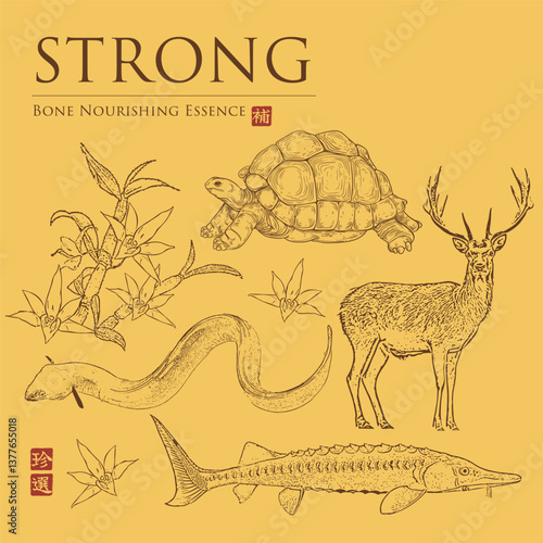 chinese medicine for bone