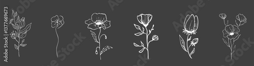 Floral botanical feminine wild flower summer line sketch chalk drawing. Trendy minimal elements wedding herbs, minimalistic flowers with elegant leaves. Tiny tattoo, elegant rustic