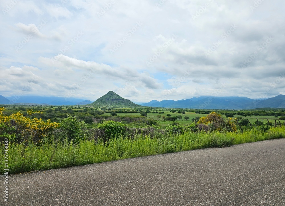 Obraz premium road in the mountains