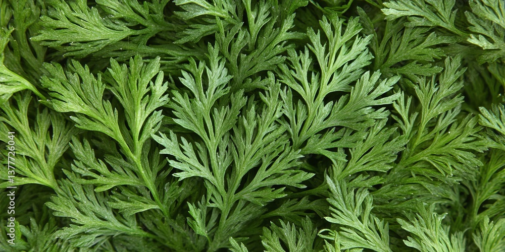 Green fern fronds textured background, closeup of luscious foliage with detailed veins and patterns Green fern fronds textured background, closeup of luscious foliage with detailed veins and patterns