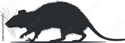 Silhouette of a rat with long tail and whiskers, representing a rodent in profile view.