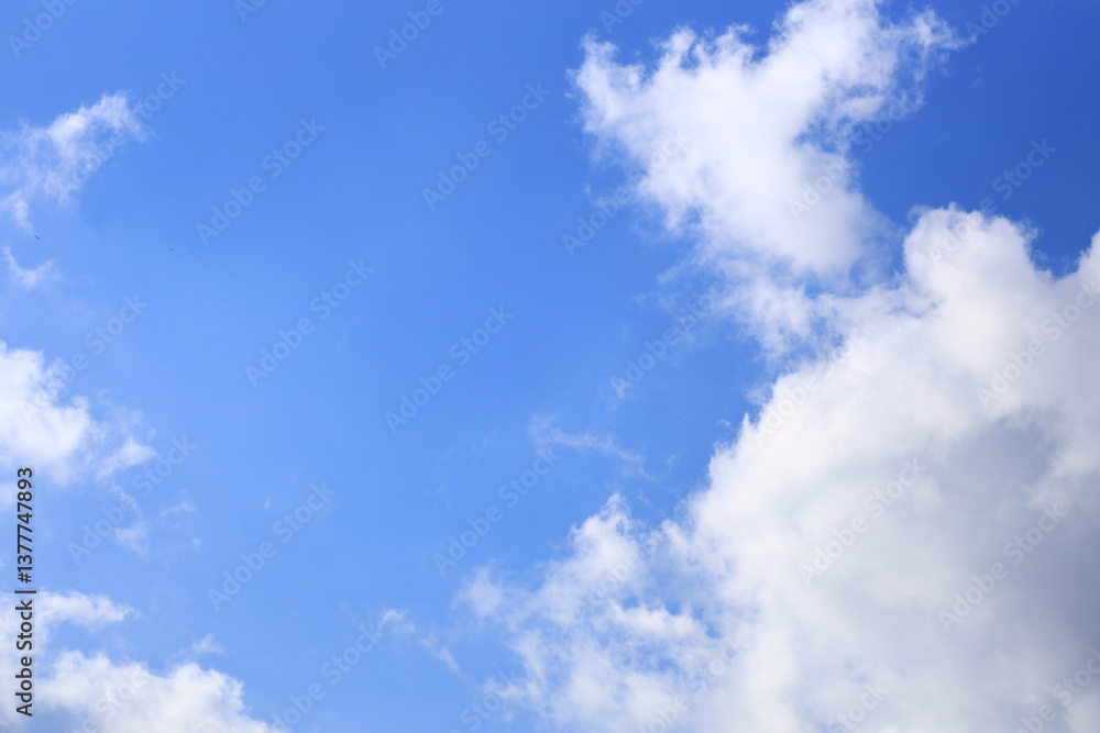 White clouds in a blue bright sky. White clouds in a blue bright sky.
