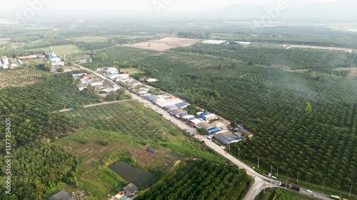 Aerial view of rural landscape showcasing tranquility with roads, buildings, and lush greenery of orchards and fields, highlighting beauty of agriculture and natures abundance.