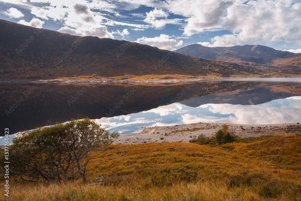 Golden heather blankets the Scottish Highlands, where misty peaks rise above deep glens and serene lochs. Autumn’s glow paints a landscape of wild, untamed beauty.