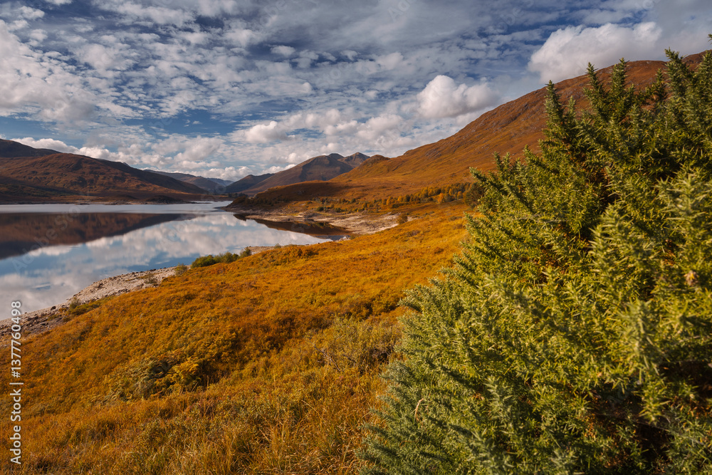 Golden heather blankets the Scottish Highlands, where misty peaks rise above deep glens and serene lochs. Autumn’s glow paints a landscape of wild, untamed beauty.