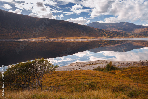 Obraz na płótnie Golden heather blankets the Scottish Highlands, where misty peaks rise above deep glens and serene lochs. Autumn’s glow paints a landscape of wild, untamed beauty. w salonie