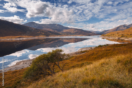Obraz na płótnie Golden heather blankets the Scottish Highlands, where misty peaks rise above deep glens and serene lochs. Autumn’s glow paints a landscape of wild, untamed beauty. w salonie