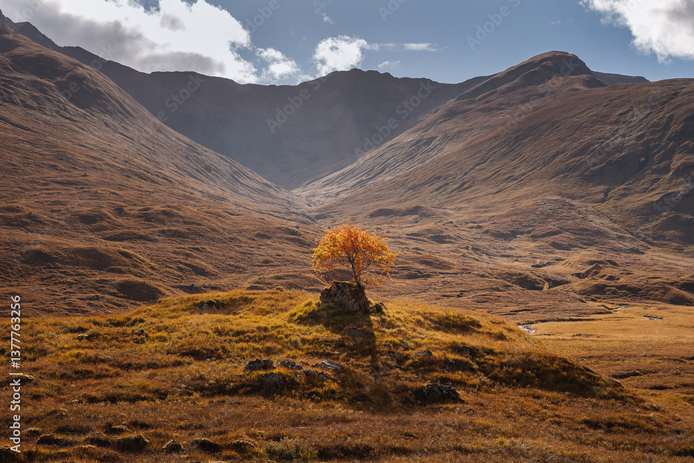 Golden heather blankets the Scottish Highlands, where misty peaks rise above deep glens and serene lochs. Autumn’s glow paints a landscape of wild, untamed beauty.