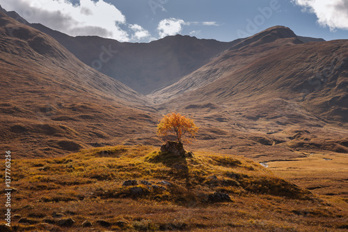 Golden heather blankets the Scottish Highlands, where misty peaks rise above deep glens and serene lochs. Autumn’s glow paints a landscape of wild, untamed beauty.