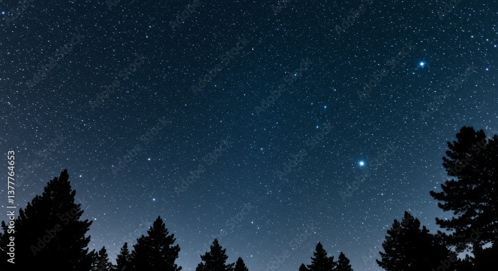 Naklejka premium Dark blurry night background