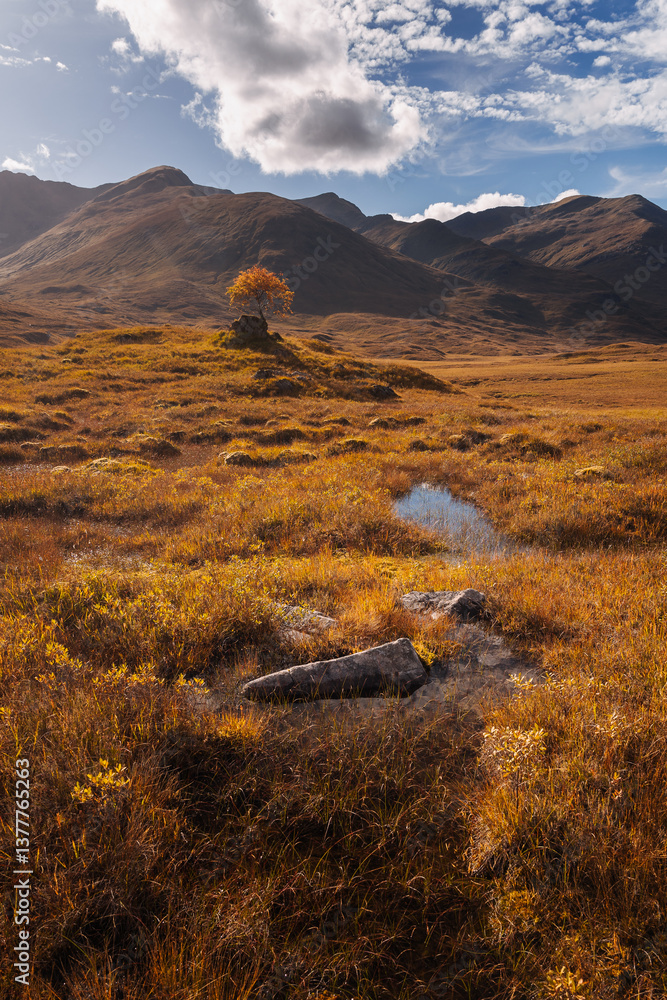 Golden heather blankets the Scottish Highlands, where misty peaks rise above deep glens and serene lochs. Autumn’s glow paints a landscape of wild, untamed beauty.