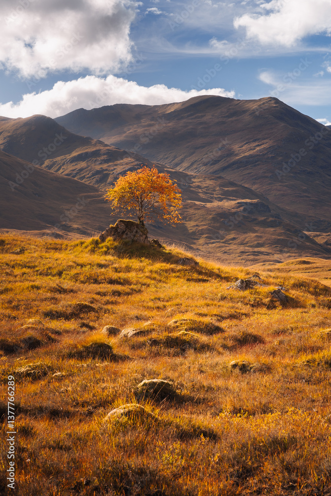 Golden heather blankets the Scottish Highlands, where misty peaks rise above deep glens and serene lochs. Autumn’s glow paints a landscape of wild, untamed beauty.