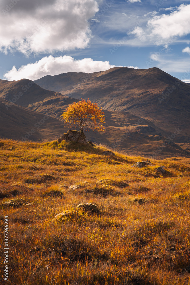 Golden heather blankets the Scottish Highlands, where misty peaks rise above deep glens and serene lochs. Autumn’s glow paints a landscape of wild, untamed beauty.