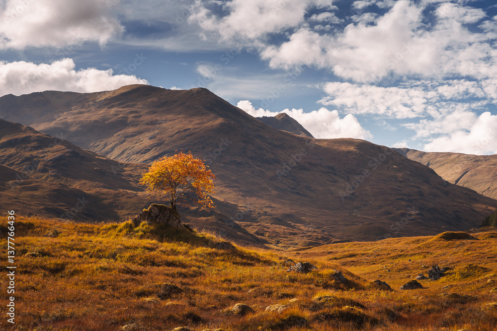 Golden heather blankets the Scottish Highlands, where misty peaks rise above deep glens and serene lochs. Autumn’s glow paints a landscape of wild, untamed beauty.