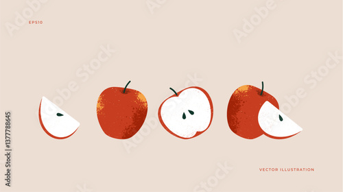 Apple collection. Whole apple and slices. Fresh fruit illustration. Vector illustration