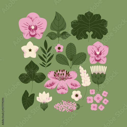 Various flowers collection. Garden florals and leaves. Vintage color palette. Vector illustration