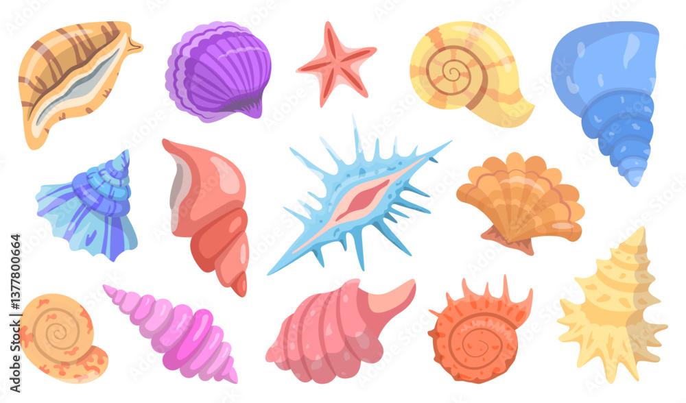 Collection of Sea Shells, Molluscs and Starfish. Collection of Sea Shells, Molluscs and Starfish.