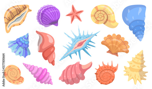 Collection of Sea Shells, Molluscs and Starfish.