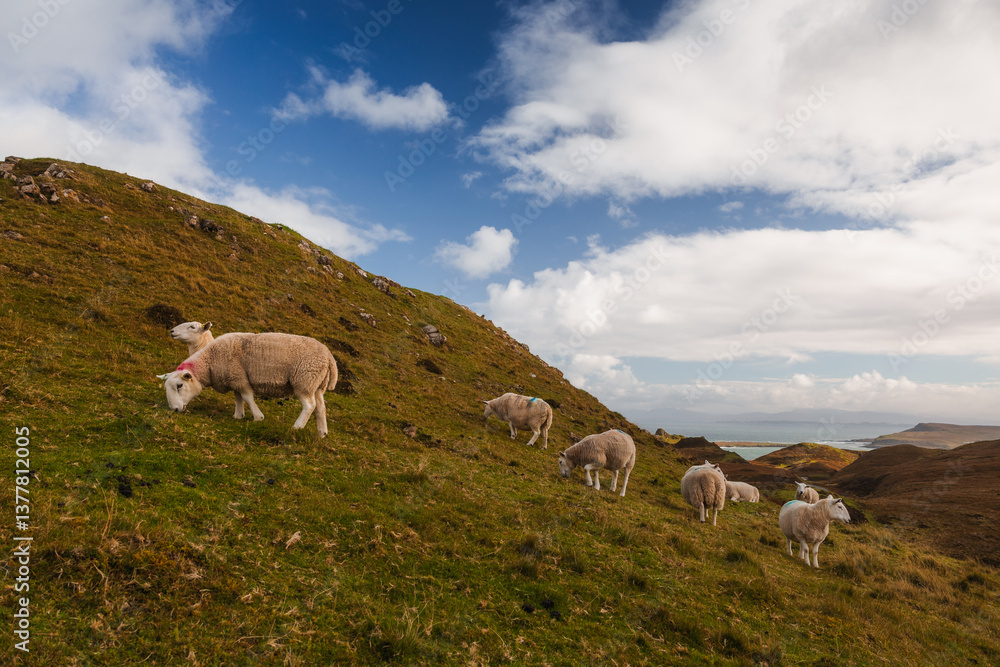 The Isle of Skye’s autumn landscapes blend golden moors, misty peaks, and rugged coastlines. A land of dramatic beauty, where nature’s wild spirit thrives.