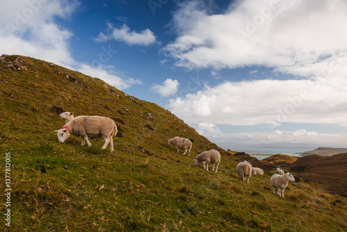 Obraz na płótnie The Isle of Skye’s autumn landscapes blend golden moors, misty peaks, and rugged coastlines. A land of dramatic beauty, where nature’s wild spirit thrives. w salonie