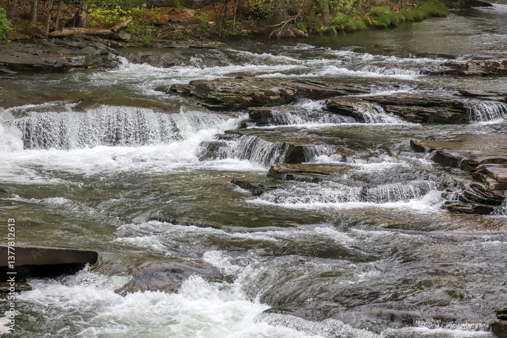 Fototapeta premium Cascading water rushing down rocky steps in a riverbed in Banff, Canada, framed by forest vegetation in the spring